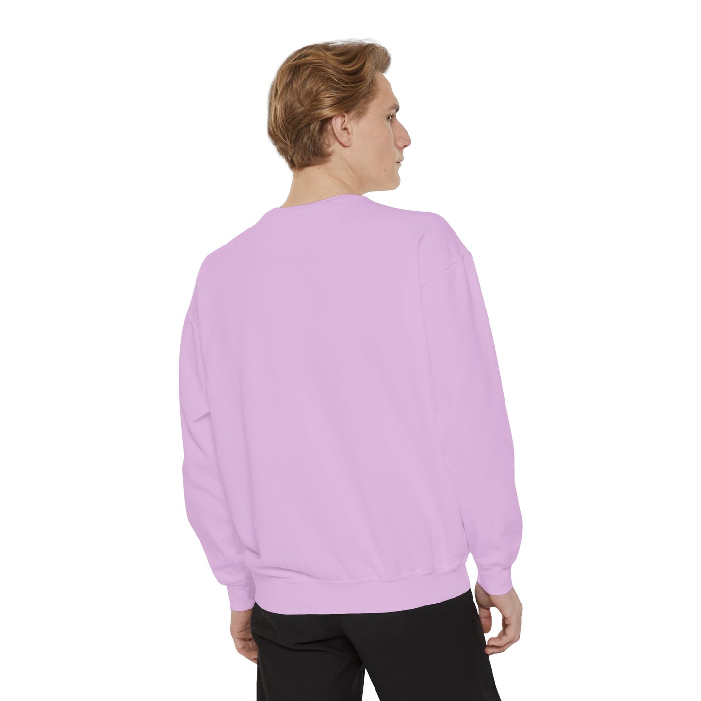 Minimalist Bird Design Unisex Garment-Dyed Sweatshirt